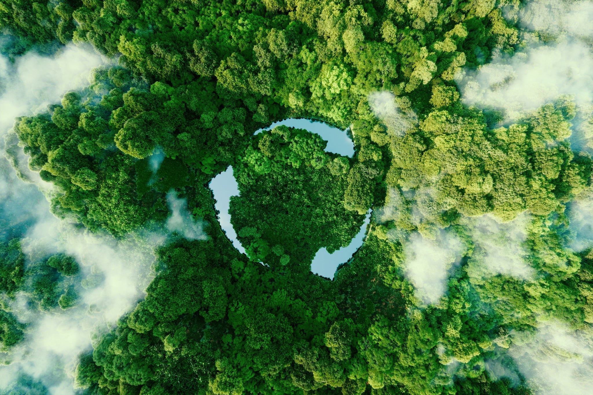 aerial photo of the tops of green trees