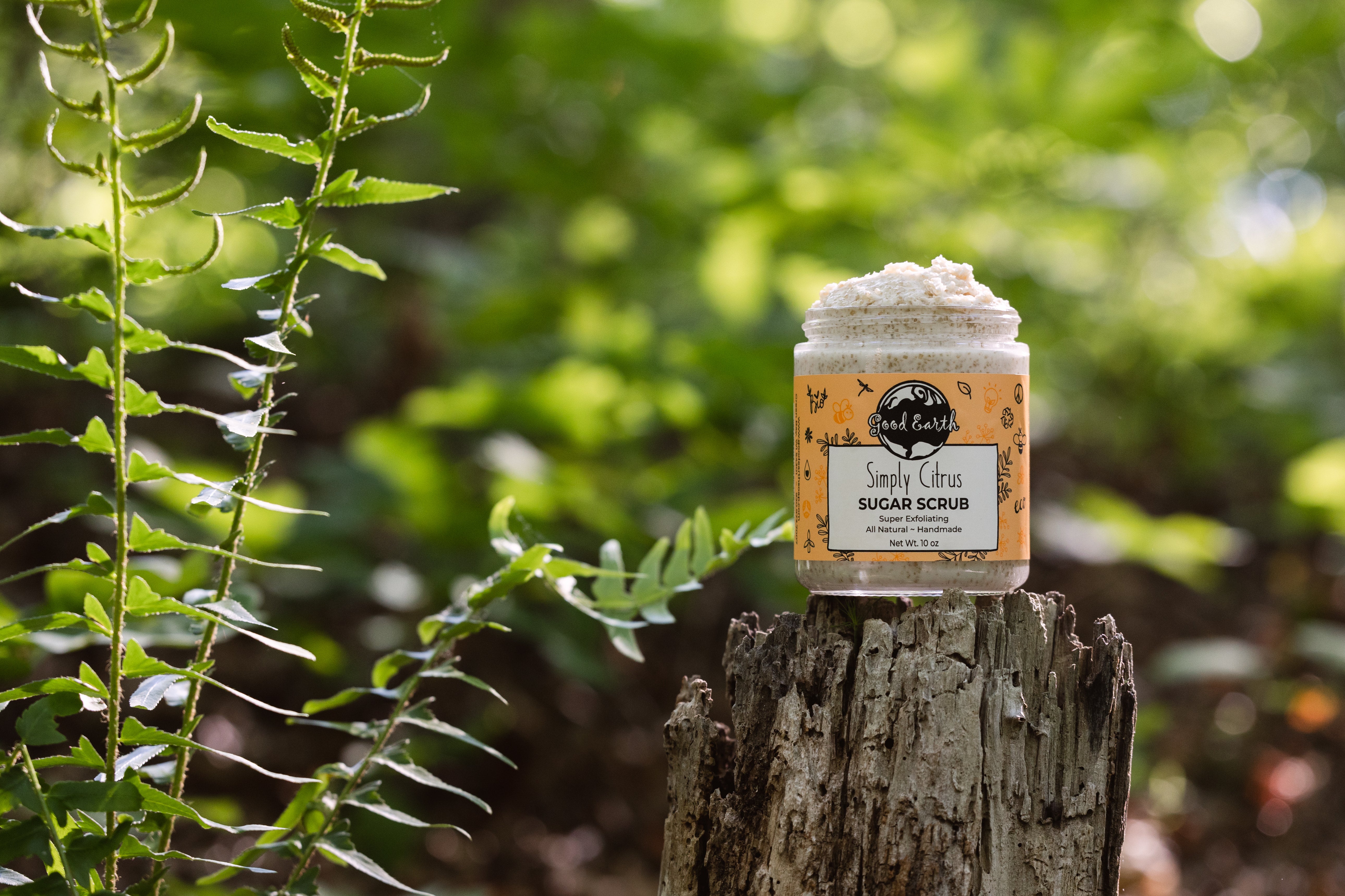 outdoor photo of natural citrus sugar scrub on a tree trunk in the woods